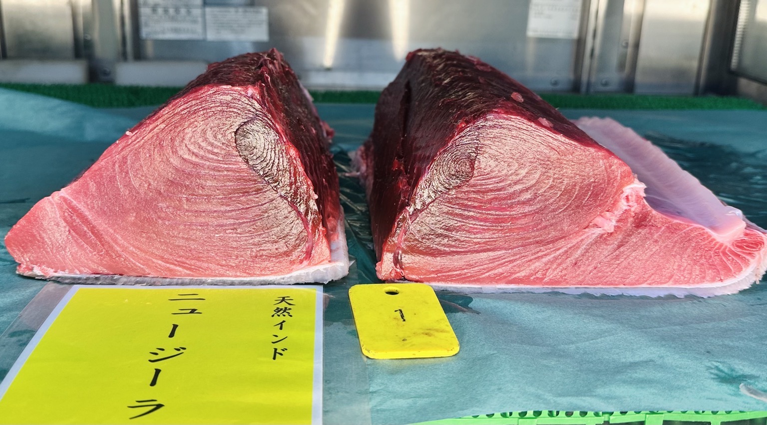 ミナミマグロ(延縄)【業務用の鮮魚仕入れならウーオ】