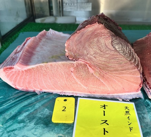 ミナミマグロ(延縄)