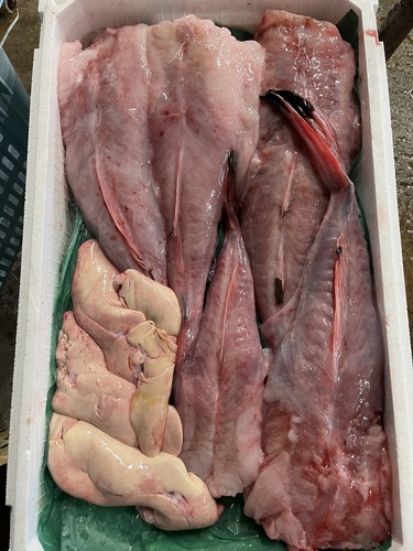 アンコウ（ムキ身）身5k 肝0.6k約5.6kg(底曳)