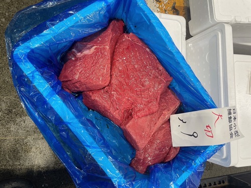 クジラニタリクジラ大切り約4kg