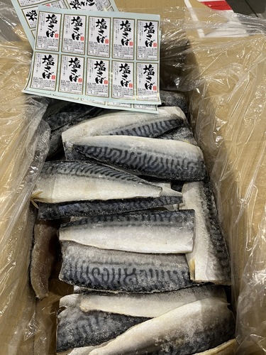 冷凍さばフィーレ約10kg