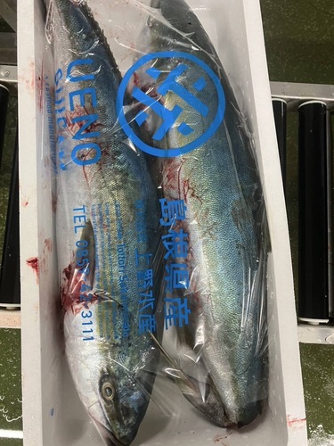 活〆ワラサ11-13k台2入約11kg(定置)