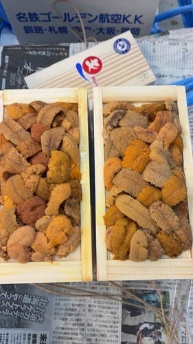 バフンウニ（板）30入約3kg