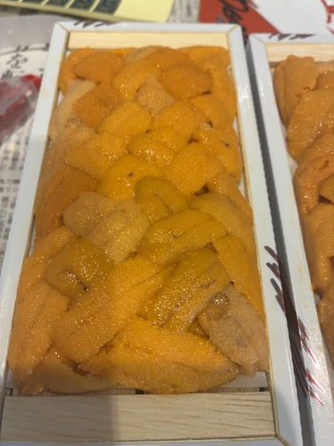 バフンウニ（板）30入約3kg