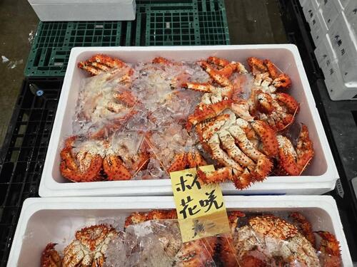 ボイル花咲カニ15入約9kg