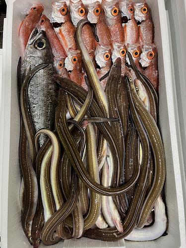 鮮魚BOX約4.5k約4.5kg(底曳)