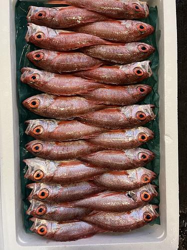 ノドグロ(アカムツ)22入約3kg(底曳)