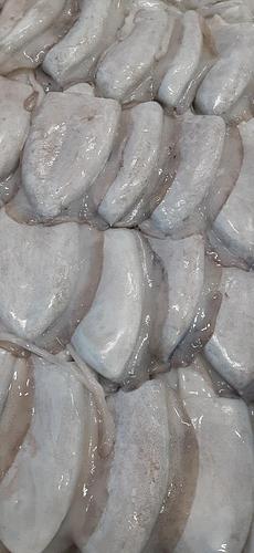 コウイカ21～24入約6kg(定置)