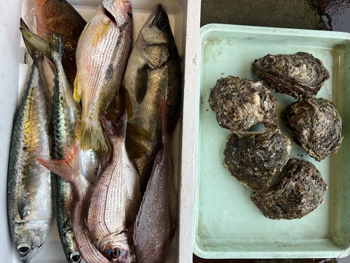 鮮魚BOX約5.9kg