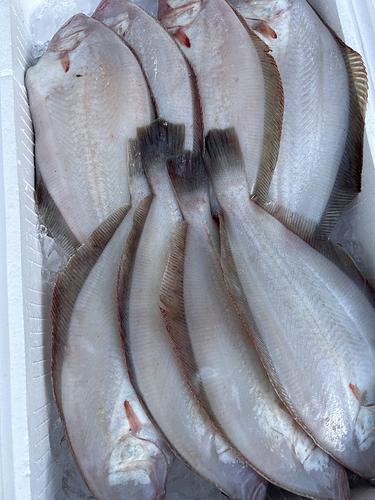 ミズガレイ(底曳)