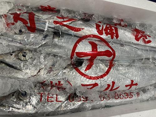 タチウオ3入約3kg