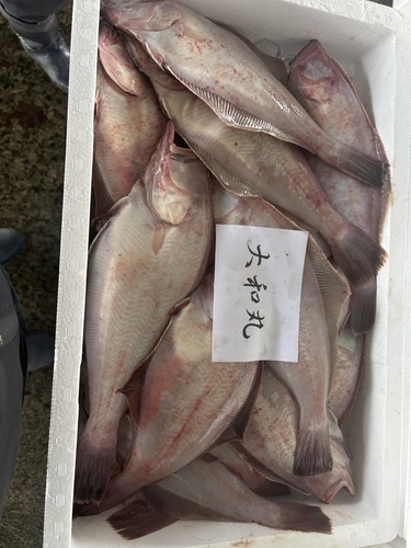 アカガレイ20入前後約5kg(底曳)