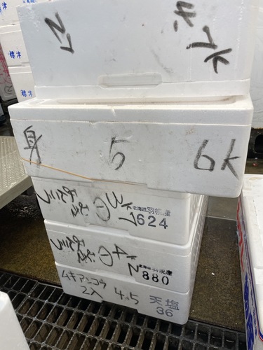アンコウ（ムキ身）約5kg