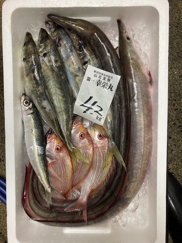 鮮魚BOX約4.2kg