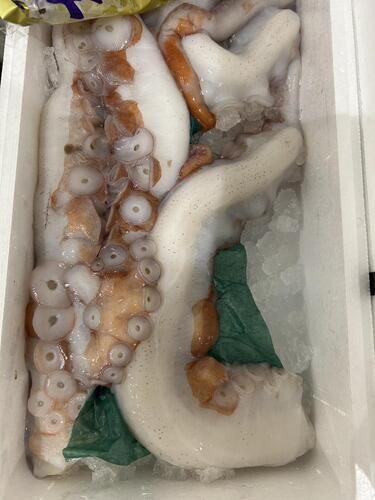 タコ足
