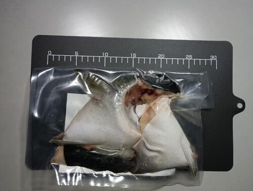ブリカマ（養殖）2カマ真空12入約6.7kg(沿岸)
