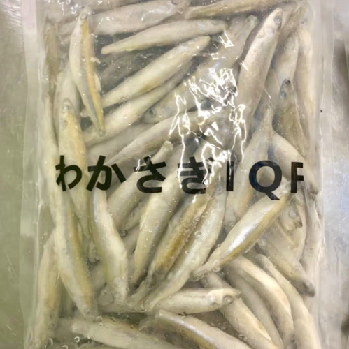 ワカサギ6-8cm約10kg(沿岸)