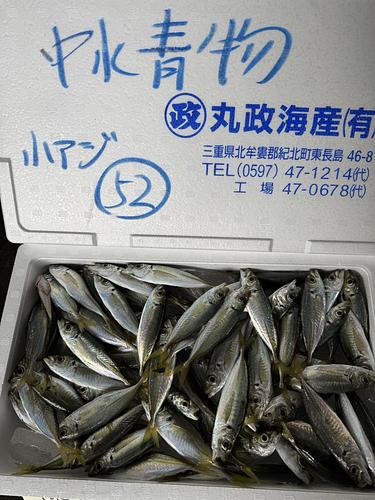 小アジ約2kg(定置)