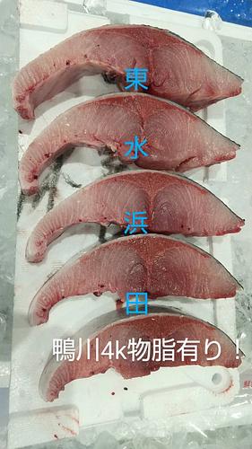 ワラサ12/14k台3入約13kg(巻網)