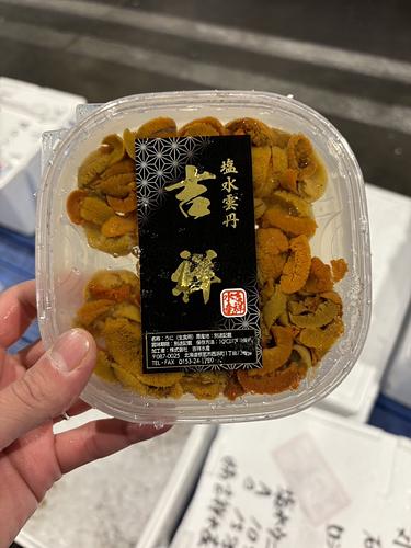 バフンウニ（塩水）