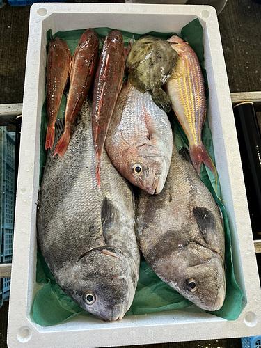 鮮魚BOX約5kg(沿岸)