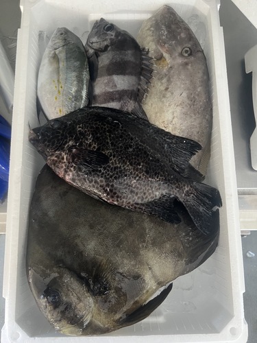 鮮魚BOX約4.5kg(定置)