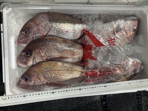 マダイ4/5k4入約4.5kg(底曳)