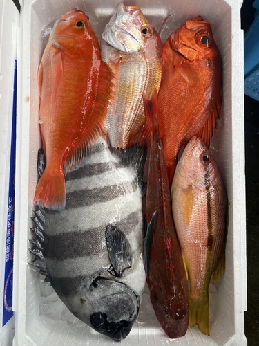 鮮魚BOX約4.1kg(釣)