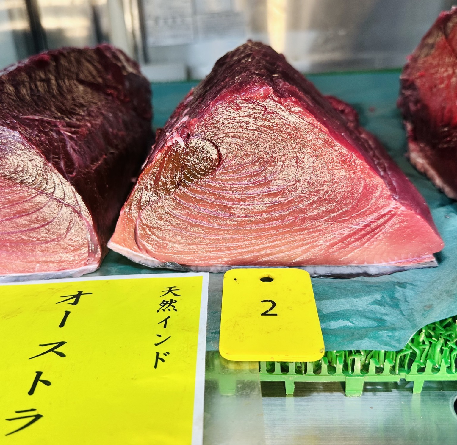 ミナミマグロ(延縄)【業務用の鮮魚仕入れならウーオ】