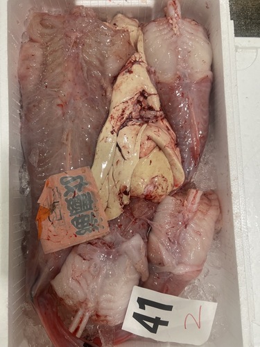 アンコウ（ムキ身）約5.5kg(底曳)