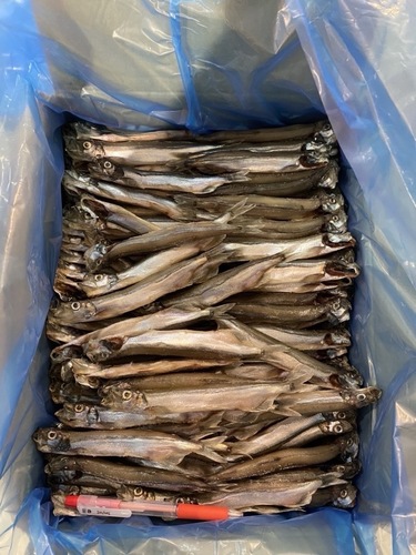 カラフトシシャモ冷凍オス約5kg