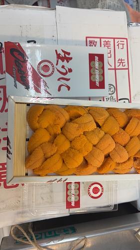 バフンウニ（板）