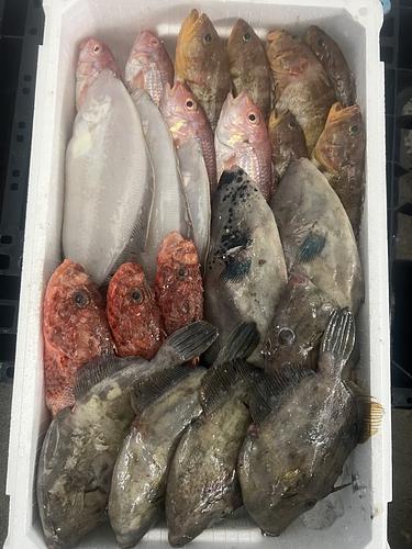 鮮魚BOX約5.7kg(底曳)