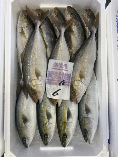 鮮魚BOX約6kg(定置)