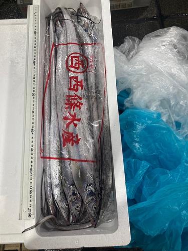 タチウオ13/16入約5kg(定置)