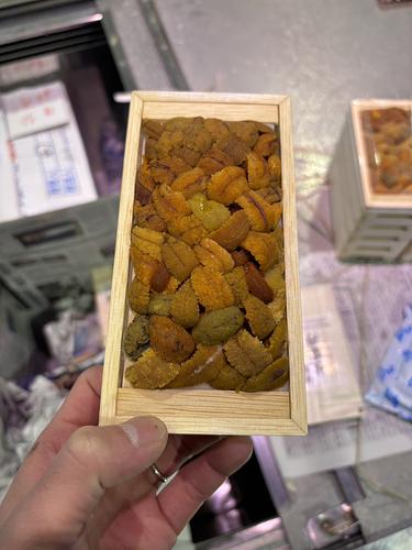 バフンウニ（板）30入約3kg