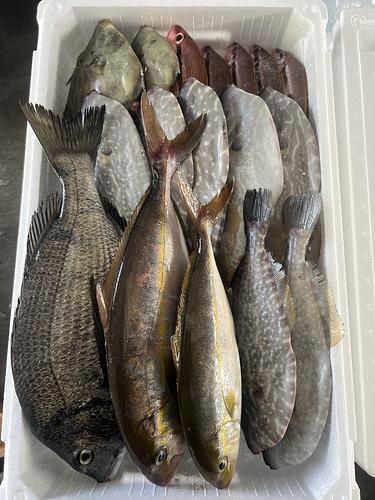 鮮魚BOX約5.6kg(定置)