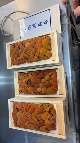 バフンウニ（板）10入約1kg