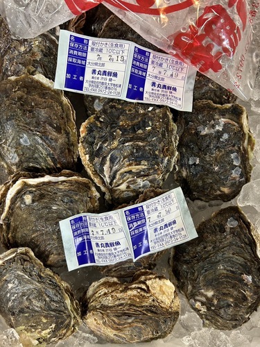 岩ガキ(沿岸)