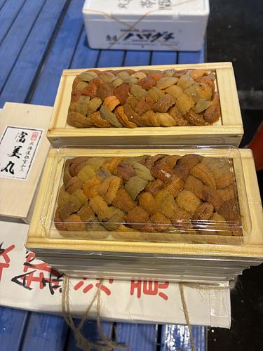 バフンウニ（板）