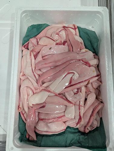 秋鮭白子約3kg(定置)