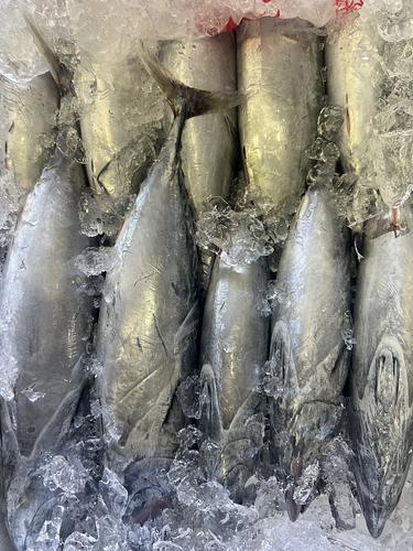 スマ10入約6.8kg(定置)