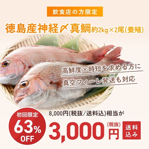 神経〆マダイ（養殖）