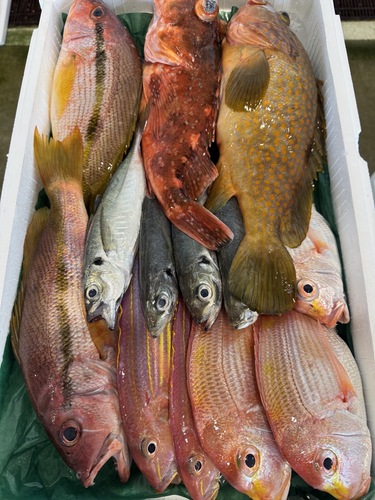 鮮魚BOX約5kg(釣)