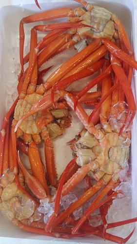 ボイルベニズワイガニ(カゴ)