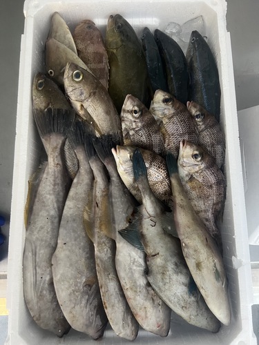 鮮魚BOX約5.4kg(定置)
