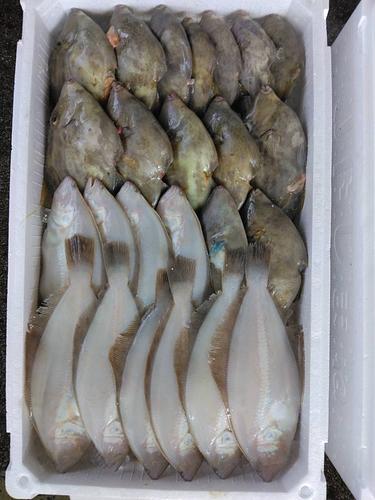 鮮魚BOX約3.8kg(底曳)