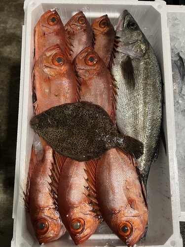 鮮魚BOX約4.6kg(底曳)