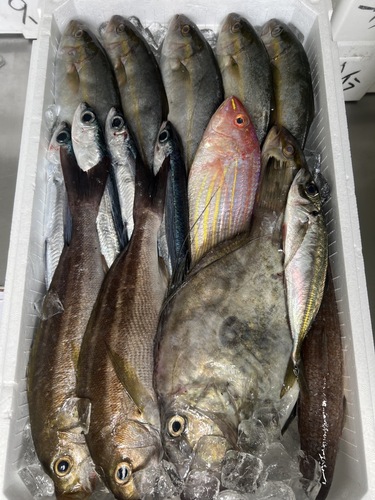 鮮魚BOX約5.1kg(定置)
