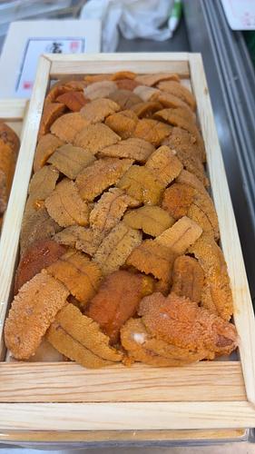 バフンウニ（板）30入約3kg